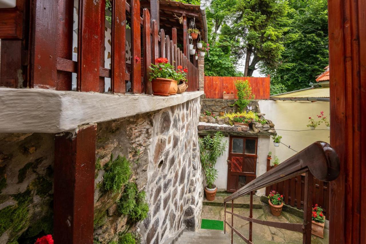 Gloria Apartments Sighisoara Exterior photo