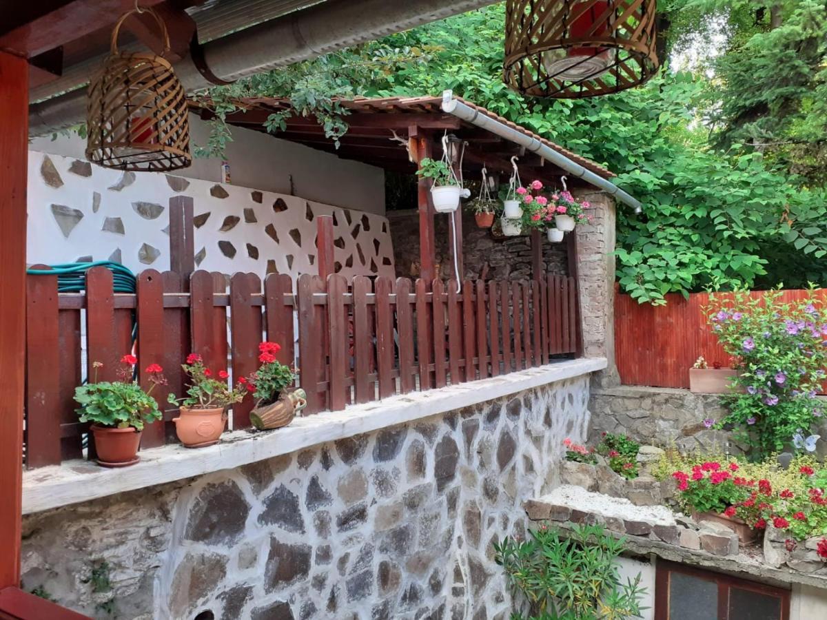 Gloria Apartments Sighisoara Exterior photo