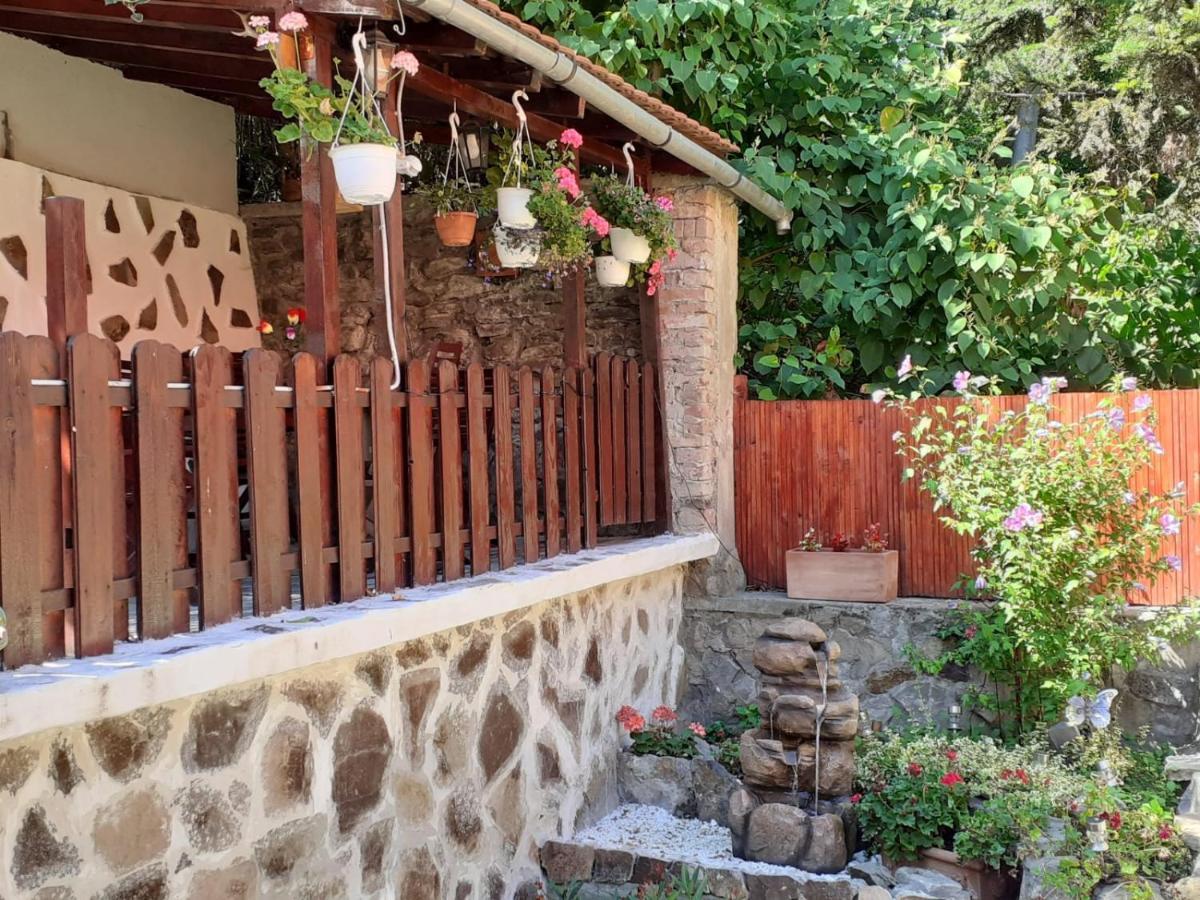 Gloria Apartments Sighisoara Exterior photo