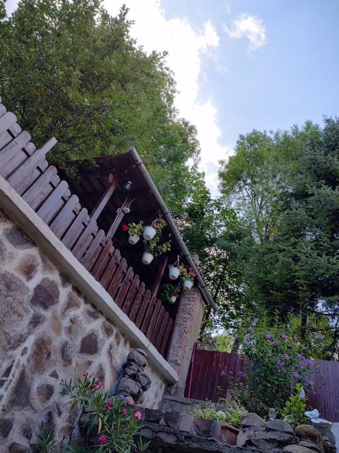 Gloria Apartments Sighisoara Exterior photo